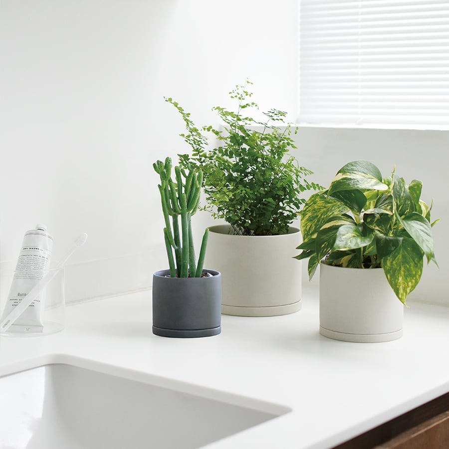 PLANT POT – KINTO Canada